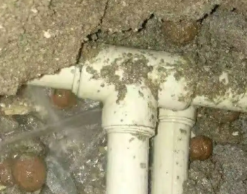 莱城测漏水多少钱