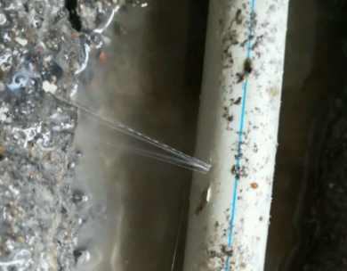 莱城测漏水哪家好