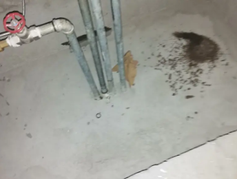 莱城卫生间测漏水价格明细