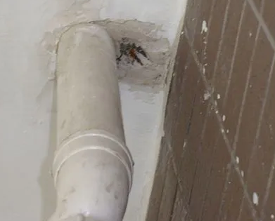 莱城漏水检测哪家好